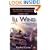 Ill Wind (Weather Warden, Book 1)