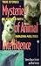 Mysteries of Animal Intelligence: True Stories of Animals with Amazing Abilities