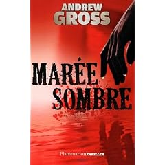 Mar�e sombre