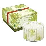 Thymes Large Multi-Wick Candle, Frasier Fir, 17-Ounce Jar