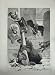 1876 Animals Lion Bear Turkey Vulture Birds Fine Art