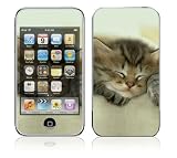 Animal Sleeping Kitty Design Skin Decal Sticker for Apple iPod Touch 2G (2nd Gen) / 3G (3rd Gen) MP3 Player