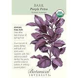 Basil Purple Petra Certified Organic Seeds 300 Seeds