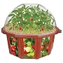 White Box Gardens - WB - 0029