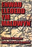 Enwau lleoedd ym Maldwyn