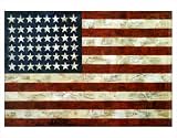 Flag, 1954-55 by Jasper Johns poster print,38.2 in. x 30 in.