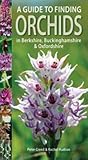 A guide to finding orchids in Berkshire, Buckinghamshire & Oxfordshire