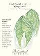 Chinese Cabbage Qingdao Seeds