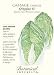 Chinese Cabbage Qingdao Seeds