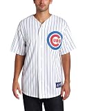 MLB Men's Chicago Cubs Starlin Castro White/Royal Pinstripe Home Short Sleeve 6 Button Synthetic Replica Baseball Jersey by Majestic (White/Royal Pinstripe, X-Large)