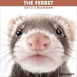 THE FERRET [2012年 カレンダー]