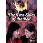 The 2 Sides Of The Bed (Los 2 Lados de la Cama) [DVD] [2005]