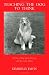 Teaching-the-Dog-to-Think-My-Year-of-Dog-Agility-Training-with-My-Collie-Willow