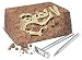 BSW Toy Excavation Station T. Rex Dig Site image 3