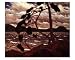West Wind - Tom Thomson Art Print Poster - 11.75 x 9.5 Image