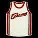 Cleveland Cavaliers Team Jersey Pin
