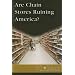 At Issue Series - Are Chain Stores Ruining America? (paperback edition) (At Issue Series)