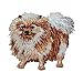ID 2758 Pomeranian Toy Dog Patch Breed Pet Puppy Embroidered Iron On Applique