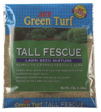 Barenbrug USA N7067713 Ace Tall Fescue Lawn Seed Mixture 3 Lb.
