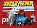 Danica Patrick Autographed Indy Japan 11x14 Photo, Proof Photo of Danica Signing for ...