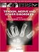   - Nerve Tendon and Other Disorders (Surgery of Disorders of the Hand and Upper Extremity)