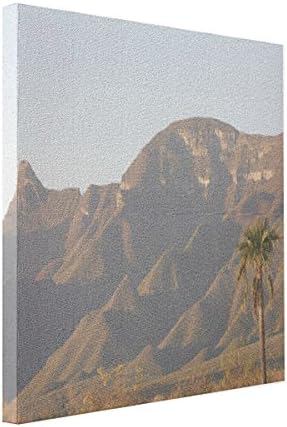 DiDiy Desert Ranch Landscape Near Monterey Mexico. Canvas Print