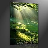 Zoom Produkt-Bild: Keilrahmenbild Wiese - fertig gerahmt auf Keilrahmen, Qualit&auml;tsware 100% Made in Germany! Unser Service f&uuml;r Sie - 1 Jahres Garantie auf unsere Bilder. Das ideale Geburtstagsgeschenk.