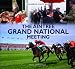 Aintree Grand National Meeting