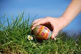 Easter Egg Hunt - 36