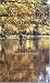 Smallmouth Bass and Streams: Thoughts on Fly-Fishing
