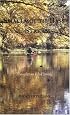 Smallmouth Bass and Streams: Thoughts on Fly-Fishing