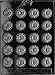 DAISIES Flowers, Fruits & Vegitables Candy Mold Chocolate