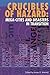 Crucibles of Hazard: Mega-cities and Disasters in Transition