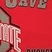 NCAA Ohio State Buckeyes Man Cave Flag with 4 Grommets, 3 x 5-Feet