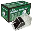 Blackjack Dealing Shoe 2 Deck