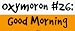 Oxymoron #26: Good Morning Large Bumper Sticker
