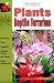 The Guide to Plants for the Reptile Terrarium (Guide To...(T.F.H. Publications))