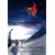 World Snowboard Guide