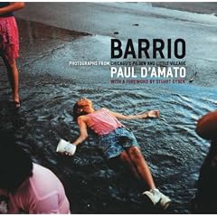 Barrio: Photographs from Chicago's Pilsen and Little Village (Chicago Visions and Revisions)
