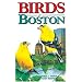 Birds of Boston (City Bird Guides)