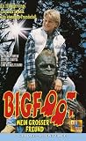 Mein gro�er Freund Bigfoot - Matt McCoy