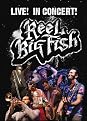 Reel Big Fish: Live! In Concert!