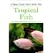 Ideas for your Tropical Home