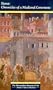 Siena: Chronicles of a Medieval Commune [VHS]