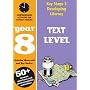 Developing Key Stage 3 Literacy: Text Level Year 8: Comprehension Activities for Literacy Lessions (Developings)