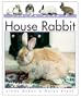 Living With a House Rabbit (Living with a Pet)