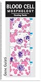 Blood Cell Morphology Grading Guide