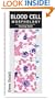 Blood Cell Morphology Grading Guide