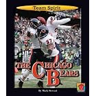 The Chicago Bears (Team Spirit) by Mark Stewart
