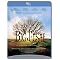 Blue-ray - Best Movie Cinematograpy